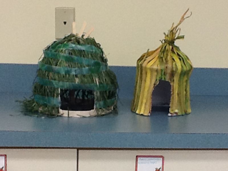 Native american home school project Native american home school project