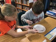 pictures of fourth grade worm dissections