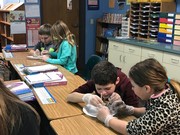 pictures of fourth grade worm dissections